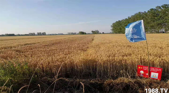 С����ù��Σ�����c������С����ù����ʲôˎ��