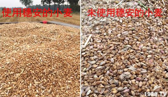 С����ù��Σ�����c������С����ù����ʲôˎ��