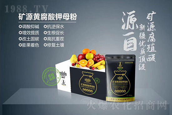 ʲô���߲��亦�����������￹��������