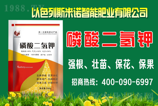 ����ʲô�r(sh��)�gʩ�������ٵ�ʩ�ʕr(sh��)�g��������B��