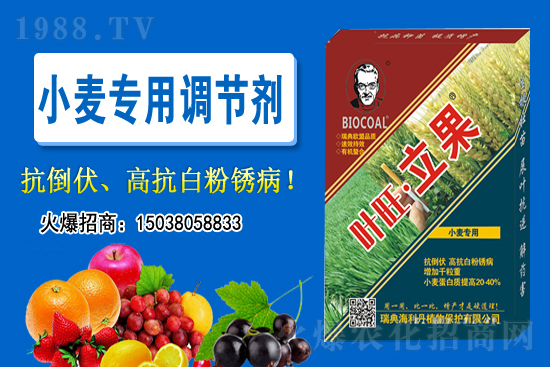 С���r��������ϝq��2020-11-26С���r������