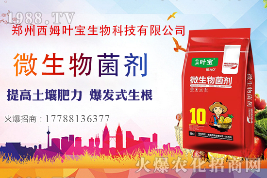     11��7�ղ��օ^(q��)�����r������C��������