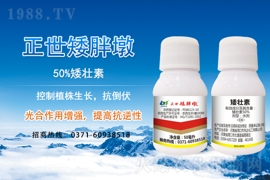 С����ǰ���L(zh��ng)��ʲôΣ������ȡʲô��ʩ����Ч��ͽ�L(zh��ng)��