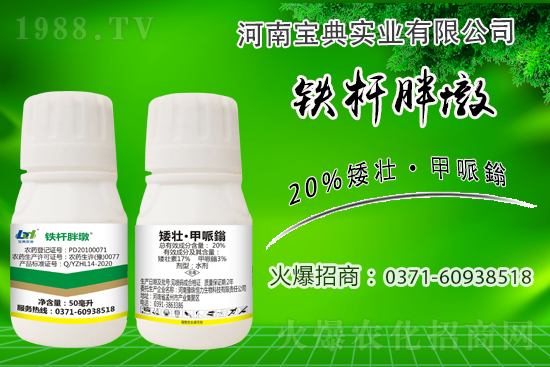 С����ǰ���L(zh��ng)��ʲôΣ������ȡʲô��ʩ����Ч��ͽ�L(zh��ng)��