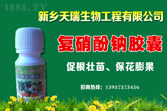 ���[һ�����ܮa(ch��n)���ٽ���[�r�����ϝq��