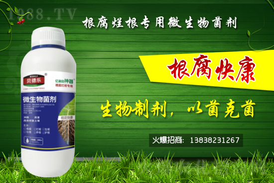 ΢������������θ�����������ô�x����