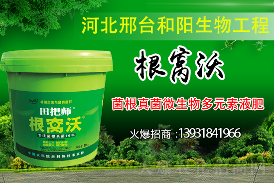 ��Щ��������������������ȡʲô��ʩ���Է�����