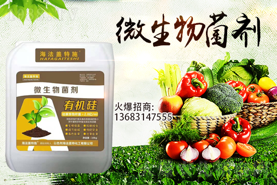 �������u��������m(x��)�͜�����������Ҫ�c(di��n)��