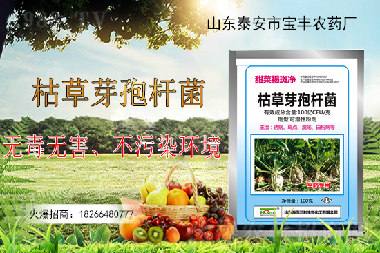 �ݲ�ѿ�ߗU���ܽ�Q������Щ��(w��n)�}���ݲ�ѿ�ߗU�����r(n��ng)�����ϵđ�(y��ng)����