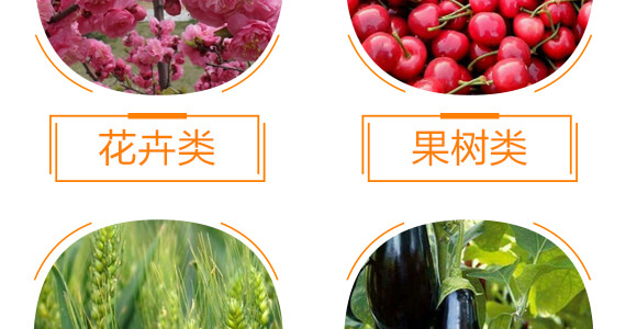 有機(jī)水溶肥料-多肽氮肥-一畫農(nóng)業(yè)_10