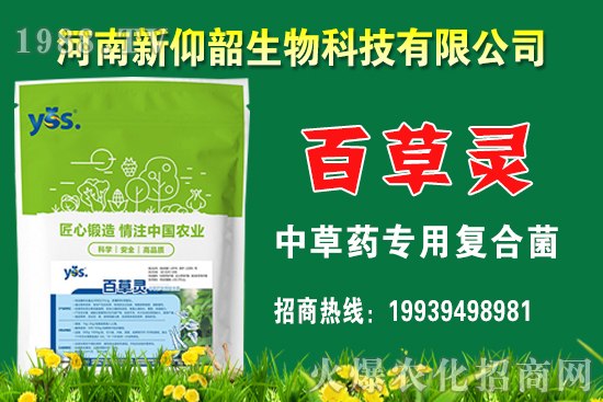 今年小麥價(jià)格還會(huì)漲嗎？2020年12月小麥價(jià)格行情如何？
