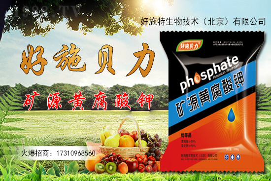 �󽪶����Xһ�����󽪷Nֲǰ������������Nֲ���g(sh��)��