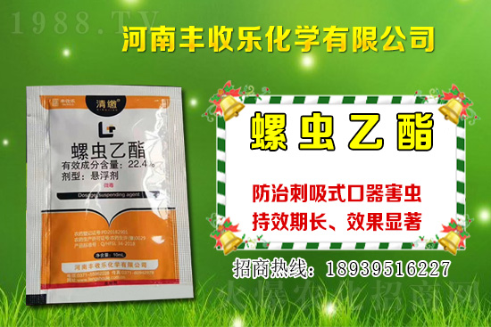 2021���޻��NֲƷ�Nԓ��ô�x���޻��x�NҪע����Щ���}��