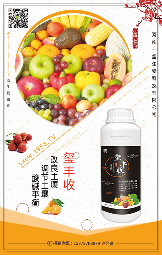 ���Ĳ�ʲô�r(sh��)�g���������Ĳ˵�����Ҫ�c(di��n)��