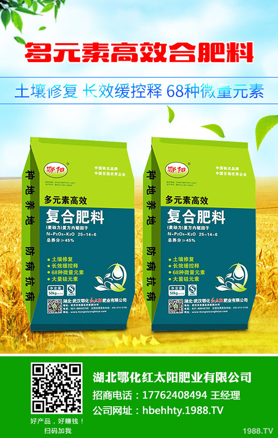 豆角種植時間，豆角種植方法要點(diǎn)！