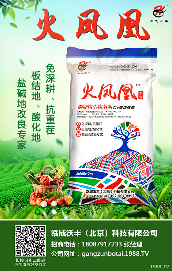 ��Ҋ�������ɺ��x����Щ���������ɺ��x������磿