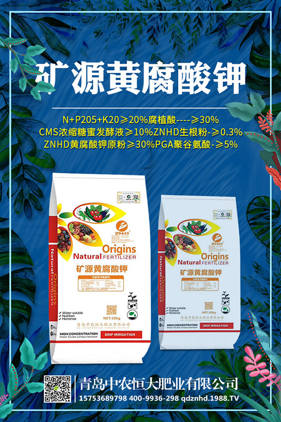 �紺���˷Nֲ���g(sh��)����Щ�����g����Ҫע��ʲô��