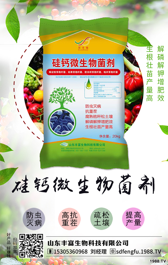 花生如何選種?花生怎么種植能高產(chǎn)?