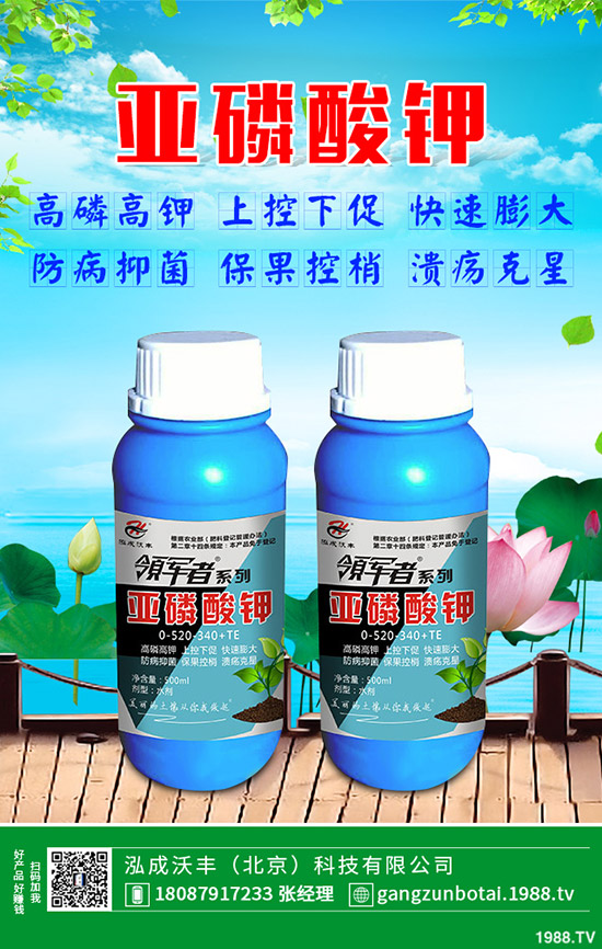 �ЙC(j��)�߲��c�o�����߲˵ą^(q��)�e���o�����߲���η��x��