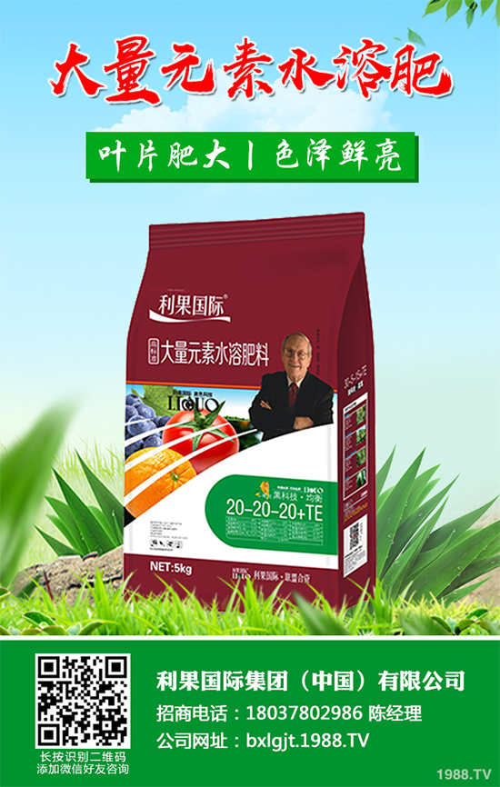 ���y���Nֲǰ�������2020���y���ķNֲǰ����Ч�����