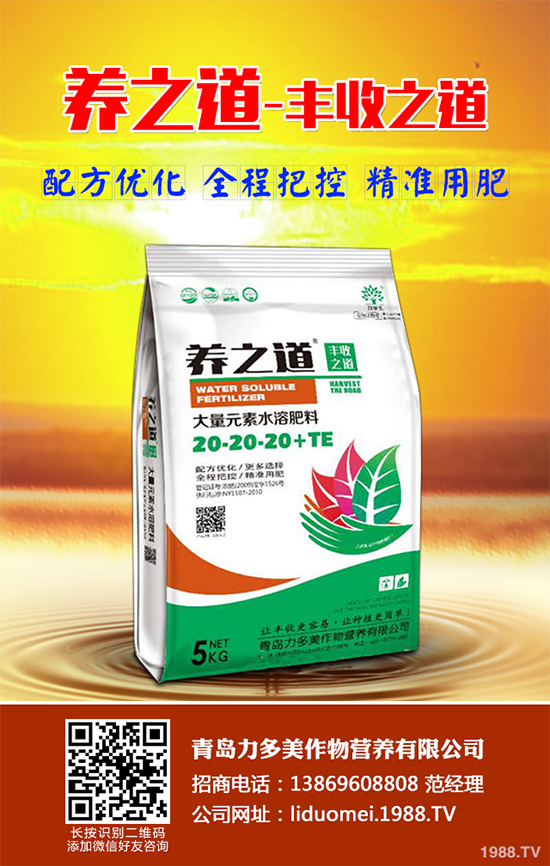 ���{(l��n)��ԓ��ηNֲ�����{(l��n)���߮a(ch��n)�Nֲ���g(sh��)Ҫ�c(di��n)