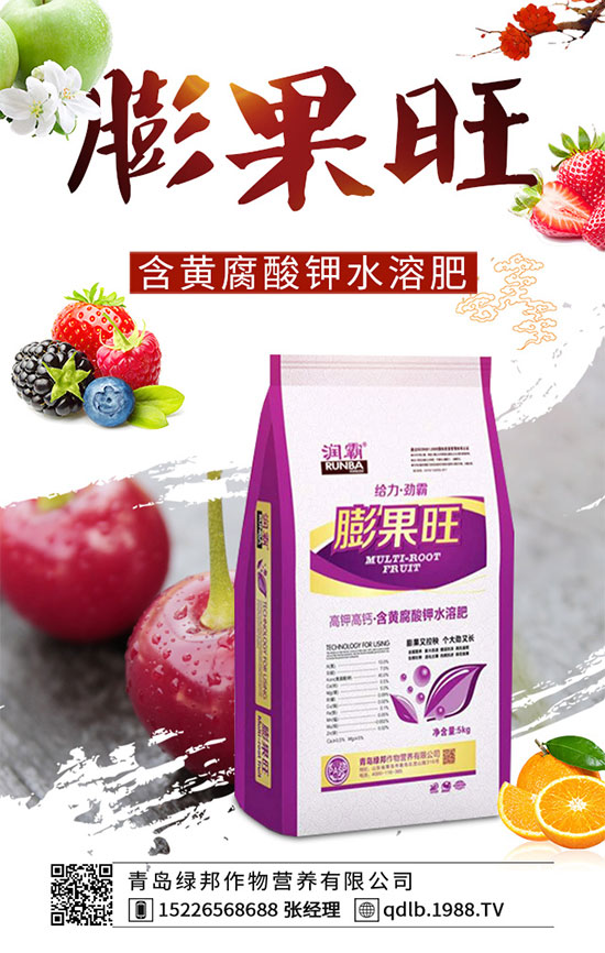 四季豆落花落莢是什么原因?四季豆落花落莢預防措施!