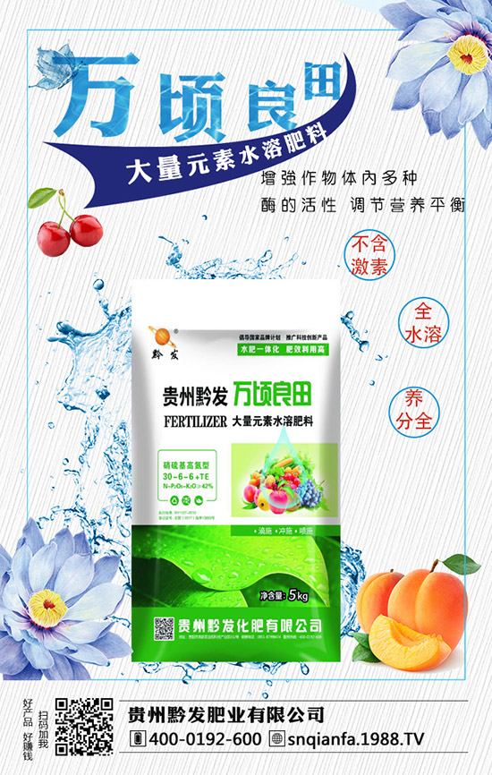 西蘭花育苗技術(shù)有哪些,西蘭花育苗的注意事項!