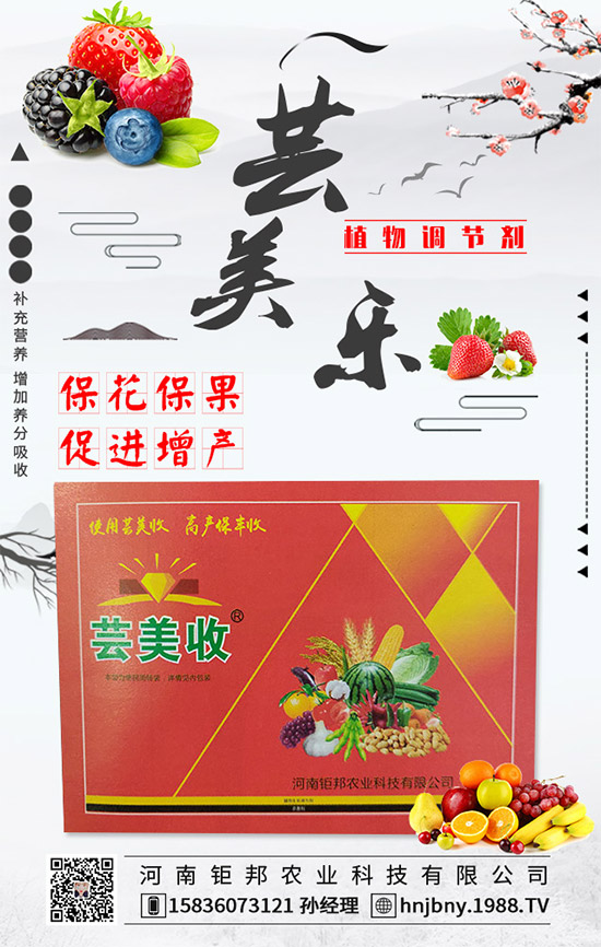 花生白絹病有什么危害?花生白絹病的防治措施!