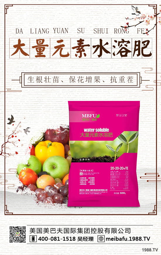 向日葵對(duì)種植條件有哪些?花菜的種植管理要點(diǎn)!