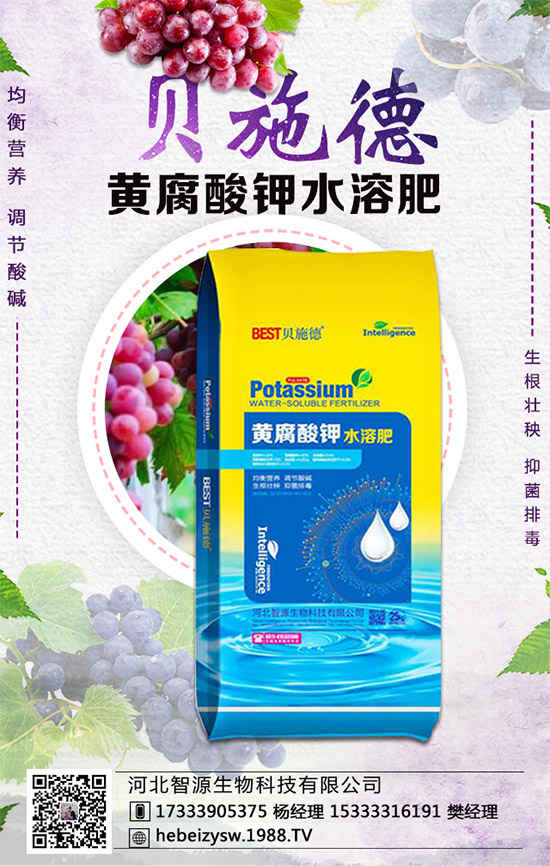 �۲˵ĠI(y��ng)�B(y��ng)�r(ji��)ֵ����Щ�������۲���ʲô��̎��