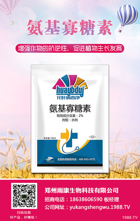 番茄發(fā)生肥害怎么辦？番茄肥害怎么快速恢復(fù)？