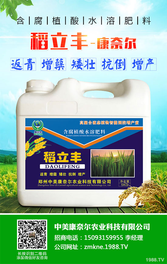 С�����·����������������ж��Ӱ���ԓ����a�ȣ�С�����·��r(n��ng)��ָ��