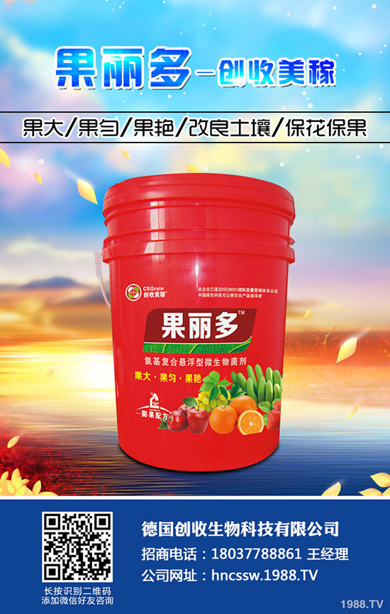 菠菜死苗是怎么回事?菠菜死苗什么原因引起?如何防治?