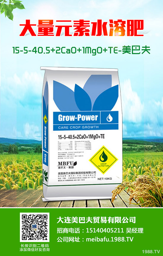     2020-4-11⛷ʃr(ji��)��С����̽���r(n��ng)�I(y��)����Ҳ��������������r(ji��)���߄�(sh��)��