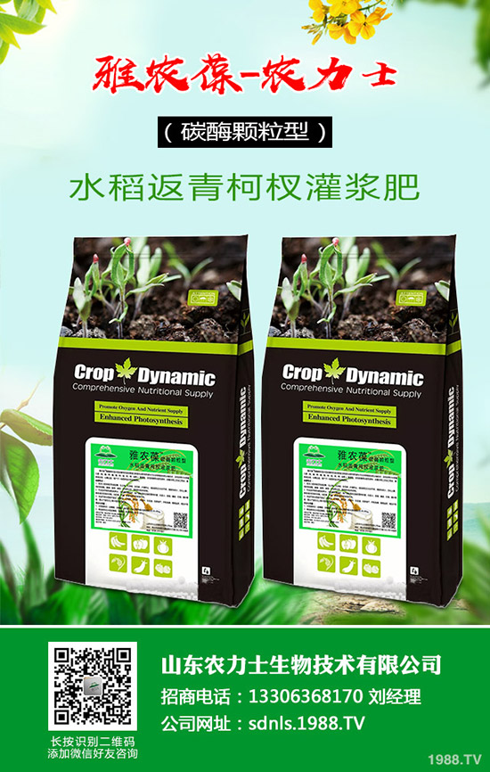     ԭ�σr(ji��)�񲨄�(d��ng)����(f��)�Ϸʳɽ��ܴ���2020��4��14������(f��)�Ϸ������߄�(sh��)������