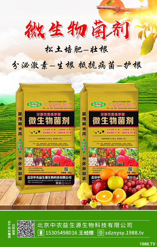 復(fù)合肥市場報價小幅下跌試探!最新復(fù)合肥價格行情分析2020-4-15!