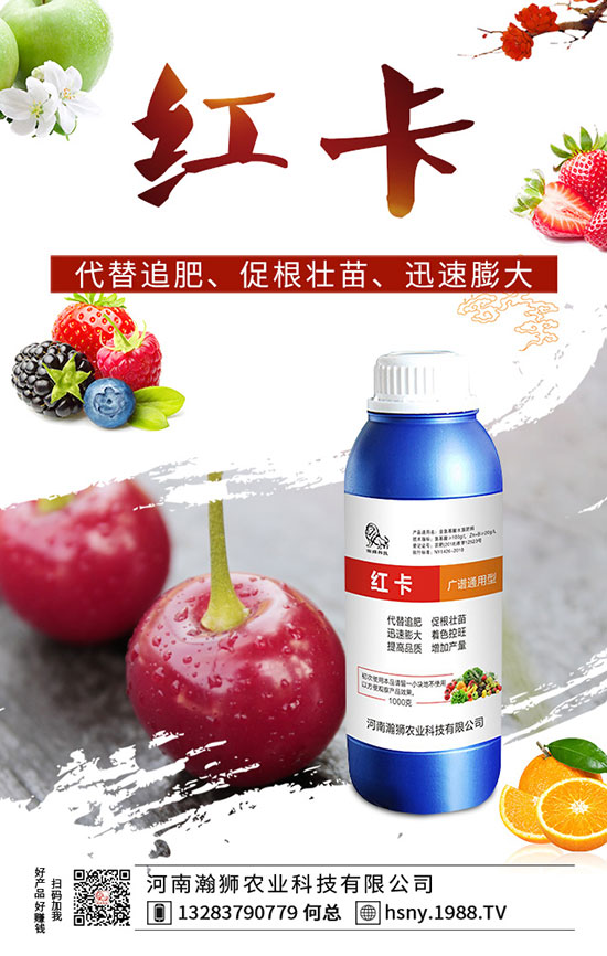 �����������ι�����������������Լ��g(sh��)Ҫ�c(di��n)