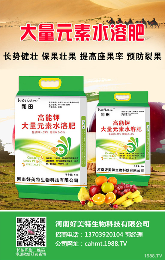 ��(x��)���[��ηNֲ���ܸ߮a(ch��n)����Ҫע��ʲô���@�傀(g��)С���ɷ���һ����