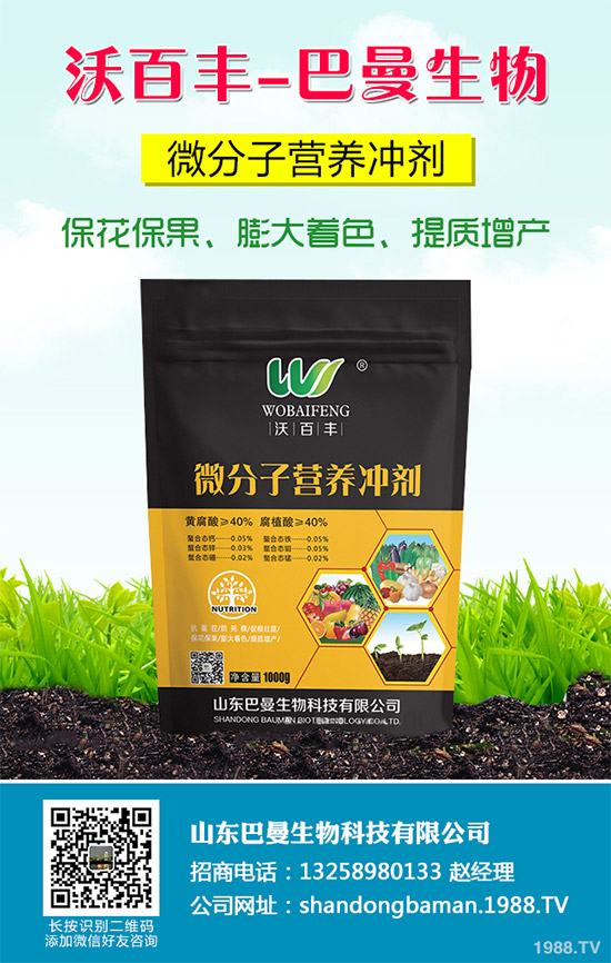 春花生播種的常見誤區(qū),不少農(nóng)戶犯過錯(cuò)(附解決方案)