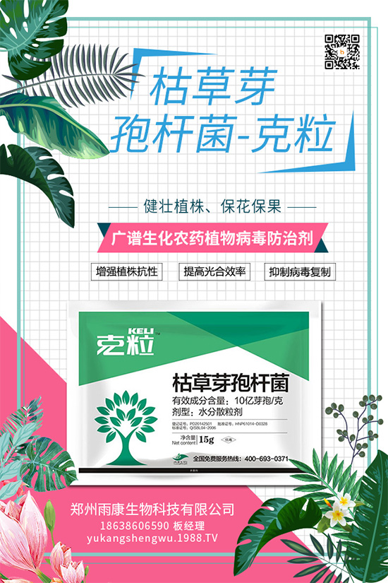 ��(gu��)��(n��i)��(d��)��(chu��ng)��ֲ��Դ����(x��)��ˎ���ذ���(l��i)�u��