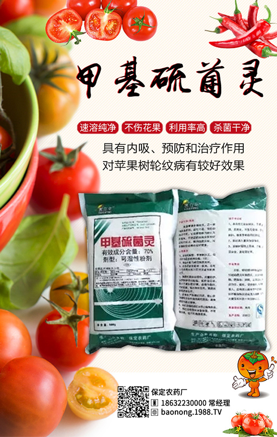 �������t�����༼�g���������t�����x��������