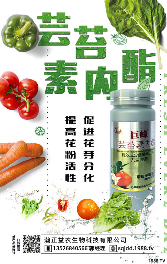 國內(nèi)植物源藥劑防治青苔專利技術產(chǎn)品“苔美”即將上市