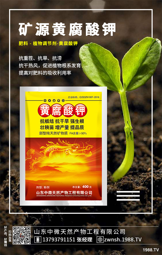 吳茱萸該如何繁殖？吳茱萸的繁殖技術(shù)栽培管理