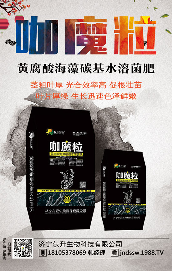 С����ʲô�g�Nֲ�r(sh��)��С���۷Nֲ����Ҫ�c(di��n)��