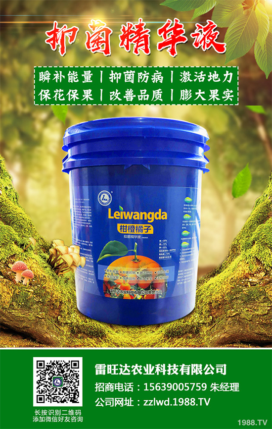 �~�Ȳ��Ј��r������Xһ����2020���~�ȲݵķNֲЧ�����