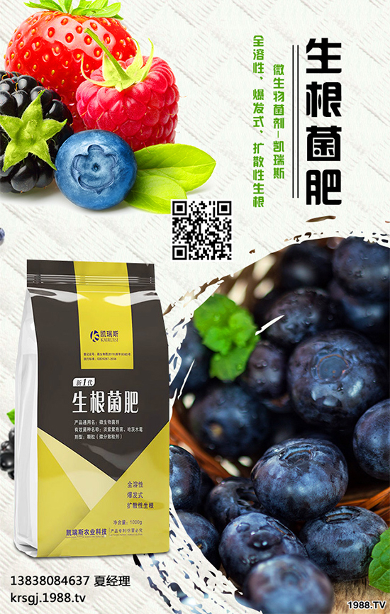     油茶屬茶科，常綠小喬木。茶油色清味香，營養(yǎng)豐富，耐貯藏，是優(yōu)質(zhì)食用油 ；也可作為潤滑油、防銹油用于工業(yè)。近年來我國各地油茶產(chǎn)區(qū)政府紛紛鼓勵種植油茶。那么，油茶種植到底有哪些優(yōu)勢呢？