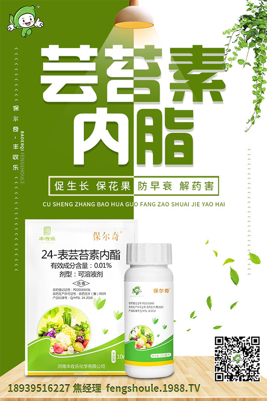 苦瓜苗怎么嫁接?苦瓜嫁接高產(chǎn)種植技術(shù)!