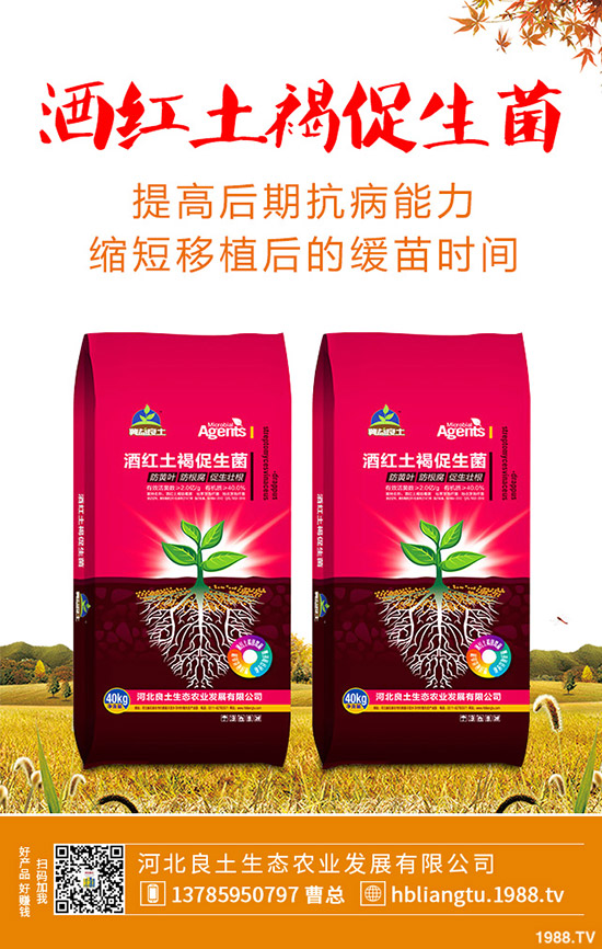 �{��ʲô�r(sh��)��Nֲ�^�����{�˵ķNֲ���g(sh��)�c���g����