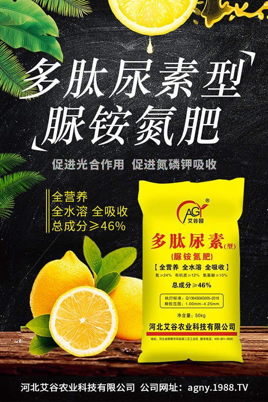 �ļ����NֲҪ�c���ļ������缼�g(sh��)�����ڹ���