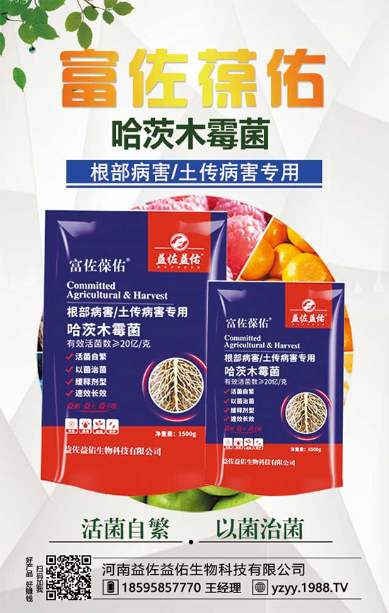 ���^����ʲô�I(y��ng)�B(y��ng)�r(ji��)ֵ�������^��ʲô��̎��